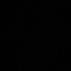 Meet your Posher, Sylvia